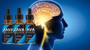 Java Brain image